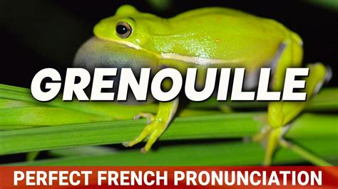 grenouille pronunciation